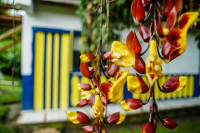 Гостиница Chalet Villa Alejandra Del Pilar  Кимбайя